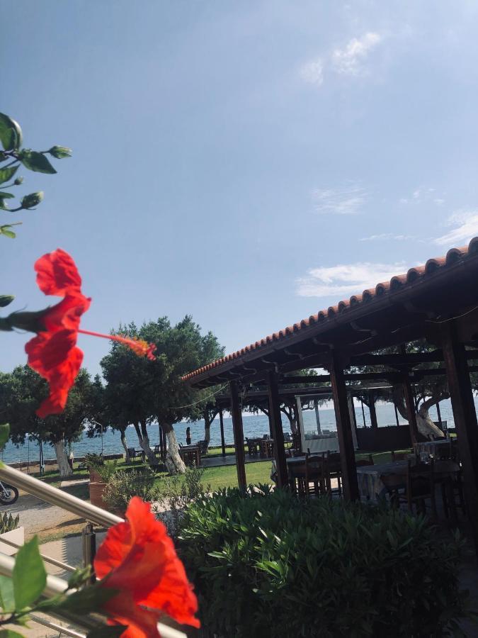 弗朗哥卡斯特隆 佛斯霍斯客房旅馆酒店 外观 照片